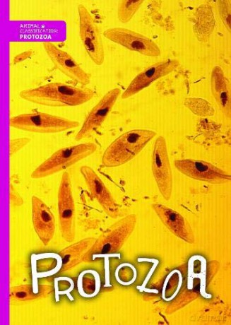 Protozoa (Animal Classification) - Joanna Brundle [KSIĄŻKA]