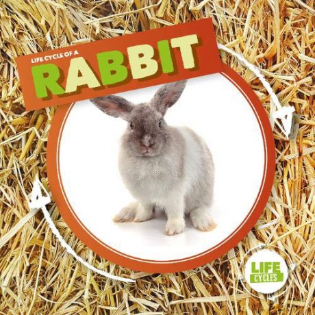 Rabbit (Life Cycle Of A) - Kirsty Holmes [KSIĄŻKA]