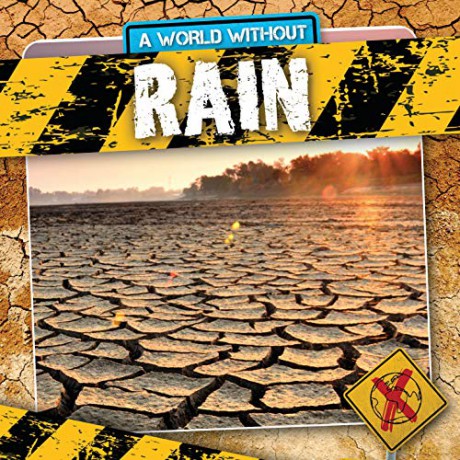 Rain (A World Without) - William Anothony [KSIĄŻKA]
