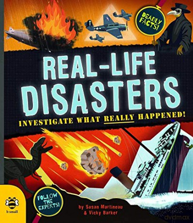 Real-life Disasters: Investigate what really happened! (Real Life Book 2) - Susan Martineau [KSIĄŻKA]