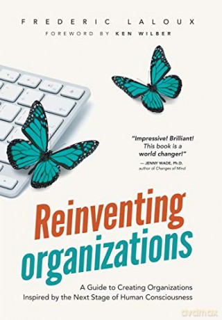 Reinventing Organizations: A Guide to Creating Organizations Inspired by the Next Stage in Human Consciousness - Frederic Laloux [KSIĄŻKA]