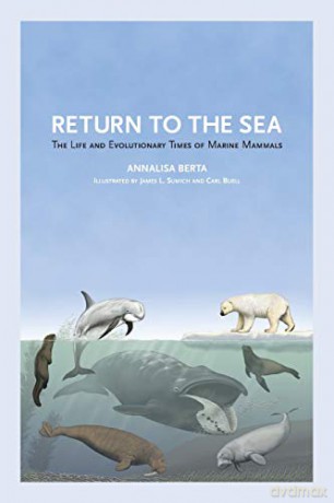 Return to the Sea: The Life and Evolutionary Times of Marine Mammals (None) - Annalisa Berta [KSIĄŻKA]