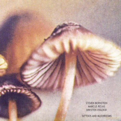 Steven Bernstein, Marcus Rojas, Kresten Osgood: Tatoos and Mushrooms [CD]