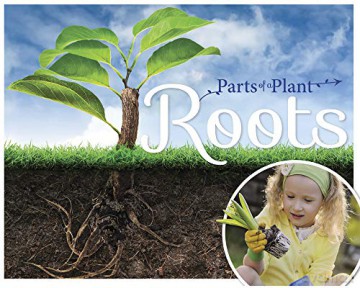 Roots (Parts of a Plant) - Gemma McMullen [KSIĄŻKA]