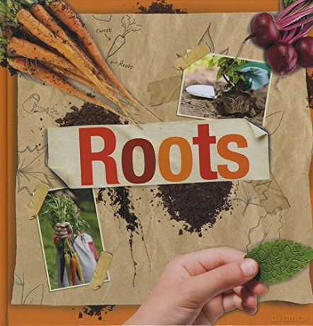 Roots (Plant Parts) - Steffi Cavell-Clarke [KSIĄŻKA]