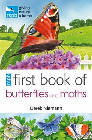 RSPB First Book of Butterflies and Moths - Derek Niemann [KSIĄŻKA]