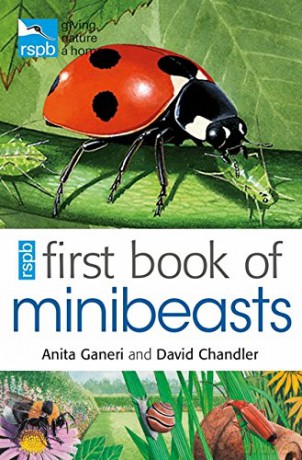 RSPB First Book Of Minibeasts - Anita Ganeri [KSIĄŻKA]