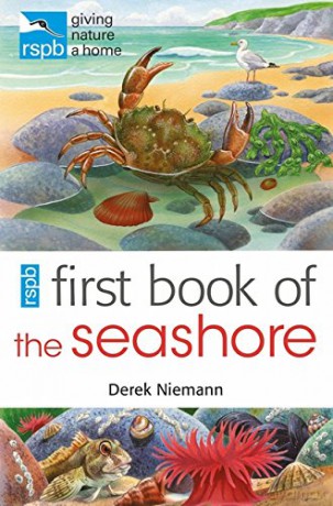 RSPB First Book Of The Seashore - Derek Niemann [KSIĄŻKA]