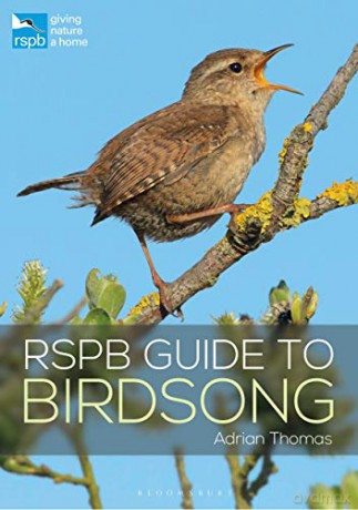 RSPB Guide to Birdsong - Adrian Thomas [KSIĄŻKA]