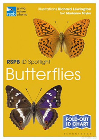 RSPB ID Spotlight - Butterflies - Marianne Taylor [KSIĄŻKA]