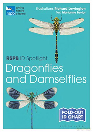 RSPB ID Spotlight - Dragonflies and Damselflies - Marianne Taylor [KSIĄŻKA]
