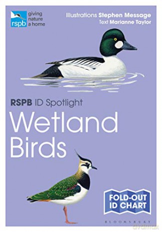 RSPB ID Spotlight - Wetland Birds - Marianne Taylor [KSIĄŻKA]