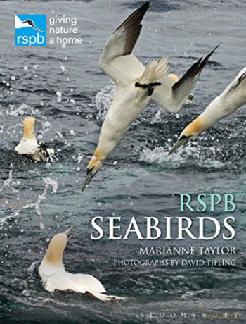 RSPB Seabirds - Marianne Taylor [KSIĄŻKA]