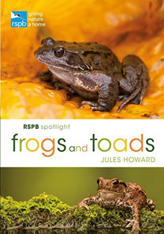 RSPB Spotlight Frogs and Toads - Jules Howard [KSIĄŻKA]