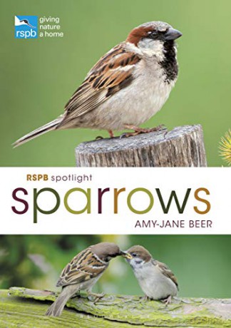 RSPB Spotlight Sparrows - Amy-Jane Beer [KSIĄŻKA]