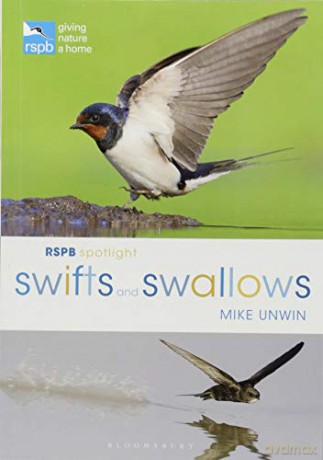 RSPB Spotlight Swifts and Swallows - Mike Unwin [KSIĄŻKA]