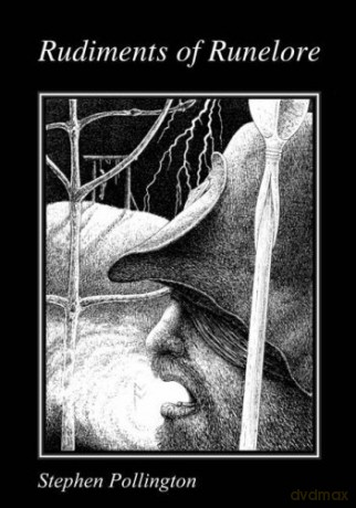 Rudiments of Runelore - Stephen Pollington [KSIĄŻKA]