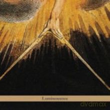 Borah Bergman Trio: Luminescence [CD]