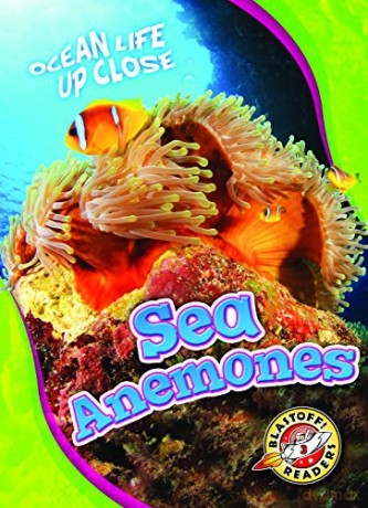 Sea Anemones (Ocean Life Up Close) - Mari C Schuh [KSIĄŻKA]