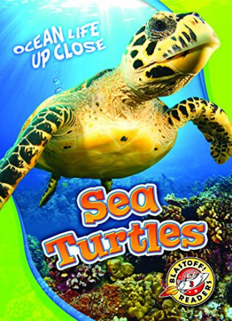 Sea Turtles (Ocean Life Up Close) - Kari Schuetz [KSIĄŻKA]