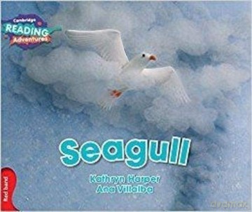 Seagull Red Band (Cambridge Reading Adventures) - Kathryn Harper [KSIĄŻKA]