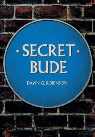 Secret Bude - Dawn G. Robinson [KSIĄŻKA]