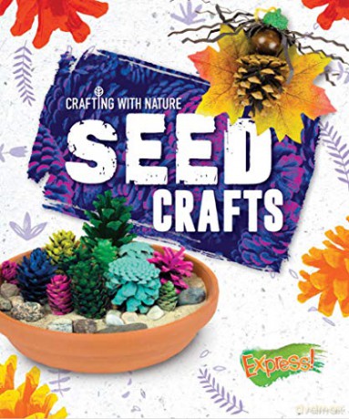 Seed Crafts (Crafting With Nature) - Betsy Rathburn [KSIĄŻKA]