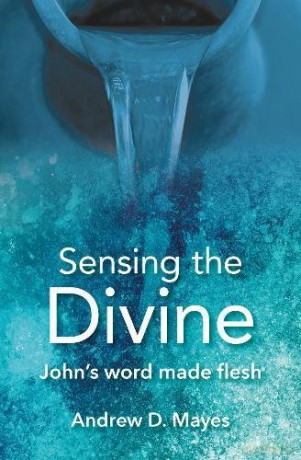 Sensing the Divine: John's word made flesh - Andrew D. Mayes [KSIĄŻKA]