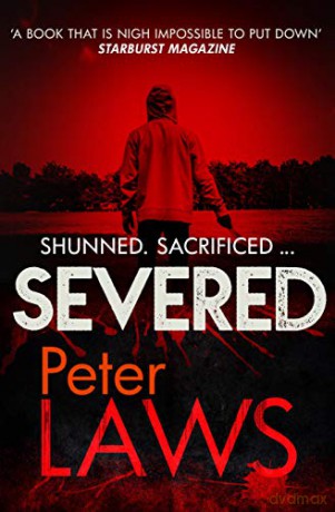 Severed: The dark and chilling crime novel you won't be able to put down: 3 (Matt Hunter) - Peter Laws [KSIĄŻKA]