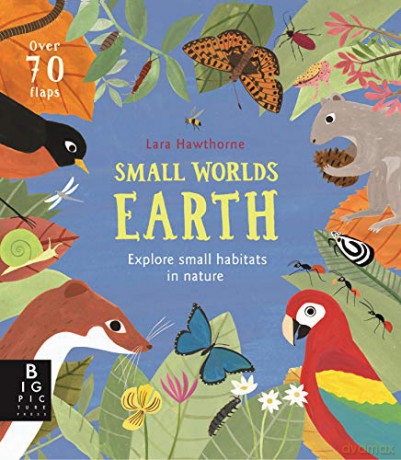 Small Worlds: Earth - Camilla De La Bedoyere [KSIĄŻKA]