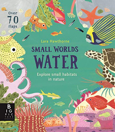 Small Worlds: Water - Lily Murray [KSIĄŻKA]