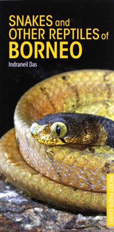 Snakes and Other Reptiles of Borneo (Pocket Photo Guides) - Indraneil Das [KSIĄŻKA]