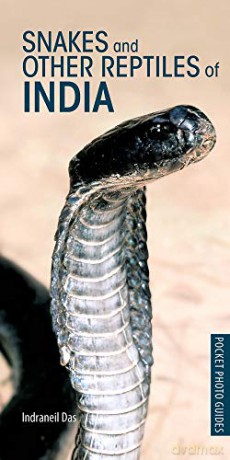 Snakes and Other Reptiles of India (Pocket Photo Guides) - Indraneil Das [KSIĄŻKA]