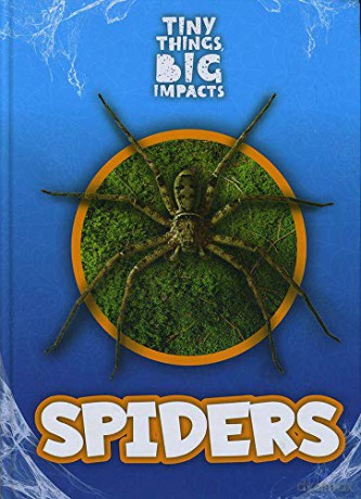 Spiders (Tiny Things, Big Impacts) - John Wood [KSIĄŻKA]