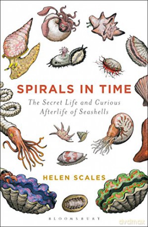 Spirals in Time: The Secret Life and Curious Afterlife of Seashells - Helen Scales [KSIĄŻKA]