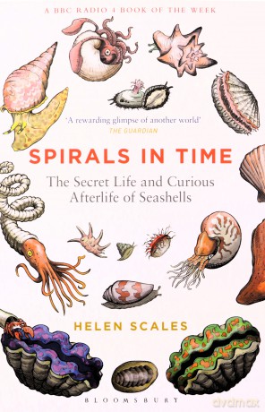 Spirals in Time: The Secret Life and Curious Afterlife of Seashells - Helen Scales [KSIĄŻKA]