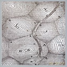 Sylvie Courvoisier: Signs and Epigrams [CD]