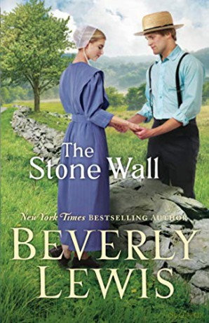 Stone Wall - Lewis [KSIĄŻKA]