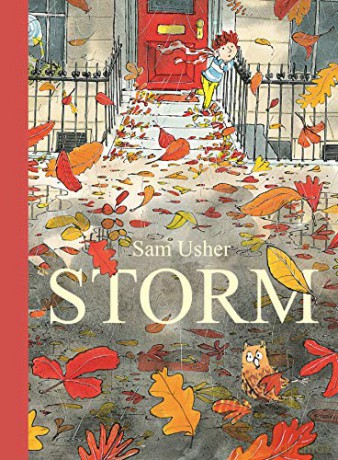 Storm - Sam Usher [KSIĄŻKA]