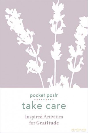 Take Care: Inspired Activities for Gratitude (Pocket Posh) [KSIĄŻKA]