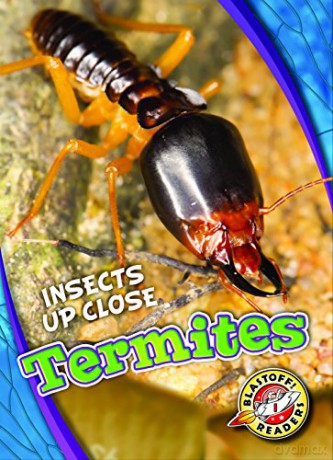 Termites (Insects Up Close) - Patrick Perish [KSIĄŻKA]