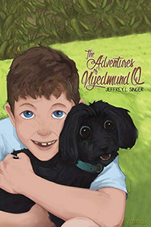 The Adventures of Nyedmund Q - Jeffrey L. Singer [KSIĄŻKA]