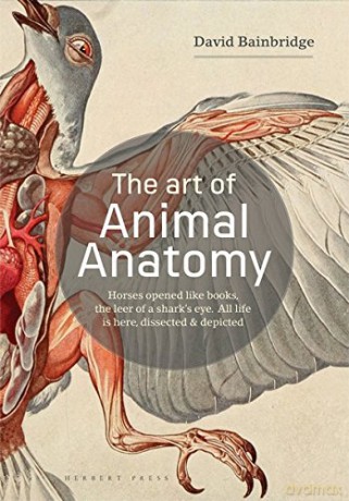 The Art of Animal Anatomy: All life is here, dissected and depicted - David Bainbridge [KSIĄŻKA]