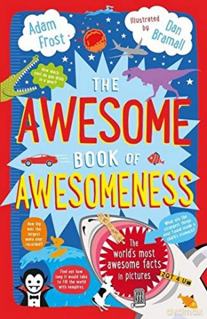 The Awesome Book of Awesomeness - Adam Frost [KSIĄŻKA]