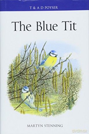 The Blue Tit - Martyn Stenning [KSIĄŻKA]