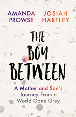 The Boy Between: A Mother and Son's Journey From a World Gone Grey - Josiah Hartley [KSIĄŻKA]