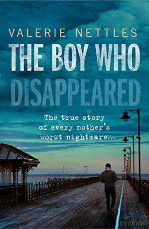 The Boy Who Disappeared - Valerie Nettles [KSIĄŻKA]