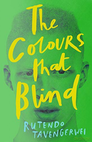 The Colours That Blind - Rutendo Tavengerwei [KSIĄŻKA]