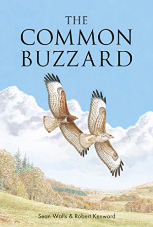 The Common Buzzard (Poyser Monographs) - Sean Walls [KSIĄŻKA]