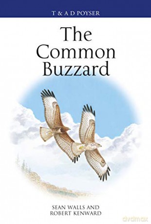 The Common Buzzard (Poyser Monographs) - Sean Walls [KSIĄŻKA]
